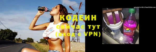 крисы Армянск