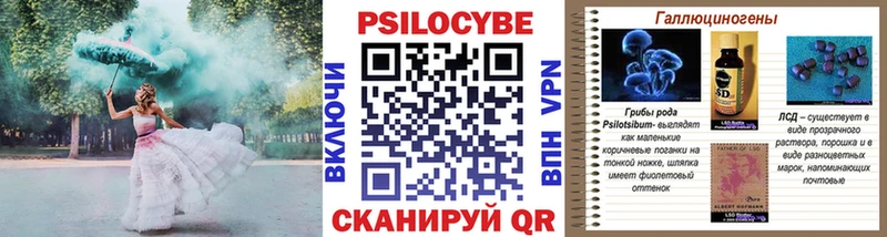 цены наркотик  Кемь  Галлюциногенные грибы Psilocybine cubensis 